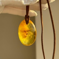 il_fullxfull.7387718454_he2h.jpg Golden Honey Baltic Amber Pendant on Suede Cord, 39mm, 10g