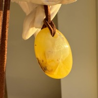 Baltic Amber Pendant with Insect Inclusion, Golden Yellow, 10g