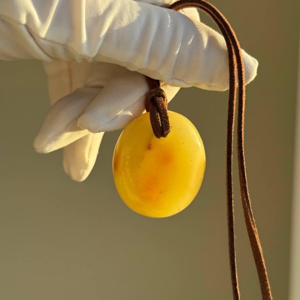 Baltic Amber Pendant with Insect Inclusion, Golden Yellow, 10g