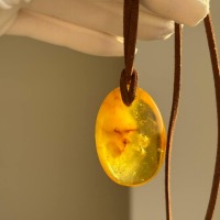 il_fullxfull.7435640121_nprd.jpg Golden Honey Baltic Amber Pendant on Suede Cord, 39mm, 10g