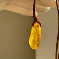 il_fullxfull.7435640123_twes.jpg Golden Honey Baltic Amber Pendant on Suede Cord, 39mm, 10g