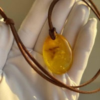 il_fullxfull.7435640133_stha.jpg Golden Honey Baltic Amber Pendant on Suede Cord, 39mm, 10g