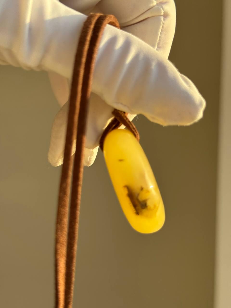 Baltic Amber Pendant with Insect Inclusion, Golden Yellow, 10g