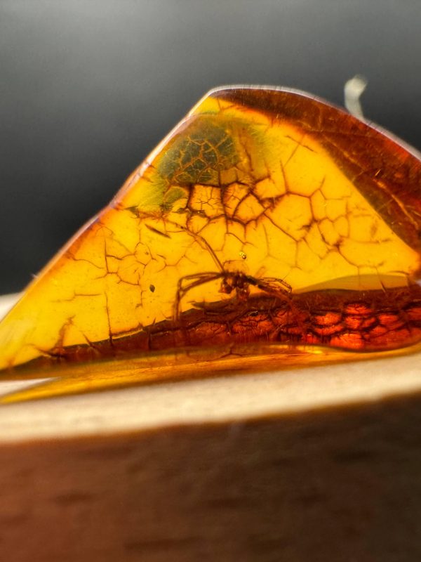 Natural Baltic Amber with Inclusions, Fossil Amber Stone