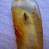Natural Baltic Amber with Inclusions, Fossil Amber Stone