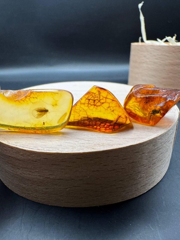 Natural Baltic Amber with Inclusions, Fossil Amber Stone
