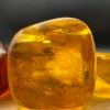 Baltic Amber Stones with Inclusions, Raw Fossil Amber Set of 3