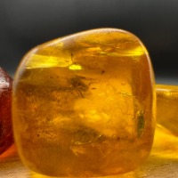 Baltic Amber Stones with Inclusions, Set of 3, 8g