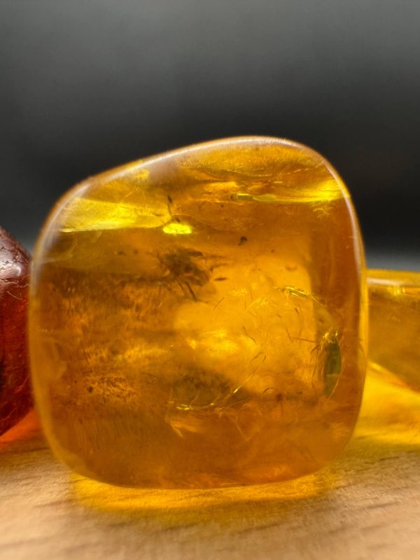 Baltic Amber Stones with Inclusions, Raw Fossil Amber Set of 3