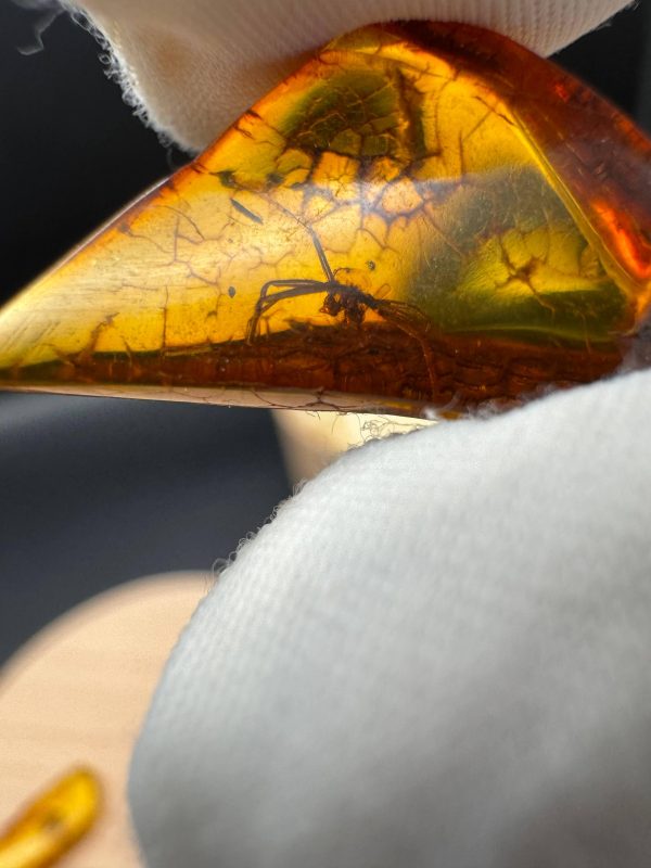 Natural Baltic Amber with Inclusions, Fossil Amber Stone