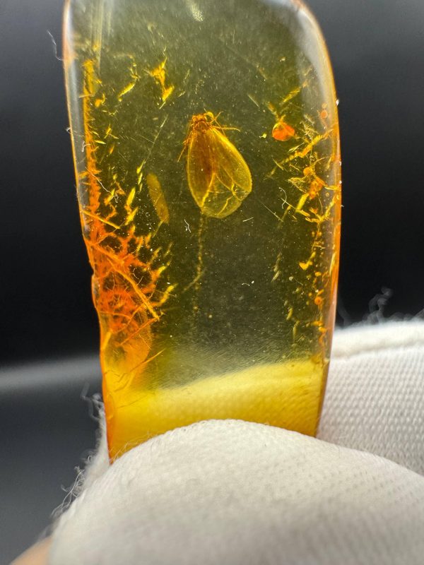 Natural Baltic Amber with Inclusions, Fossil Amber Stone