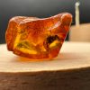 Natural Baltic Amber with Inclusions, Fossil Amber Stone