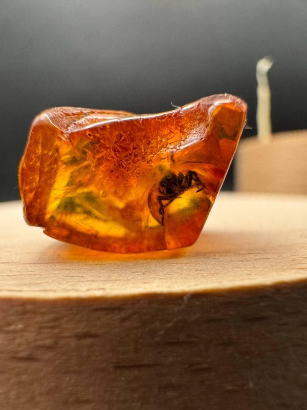 Natural Baltic Amber with Inclusions, Fossil Amber Stone