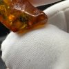 Natural Baltic Amber with Inclusions, Fossil Amber Stone