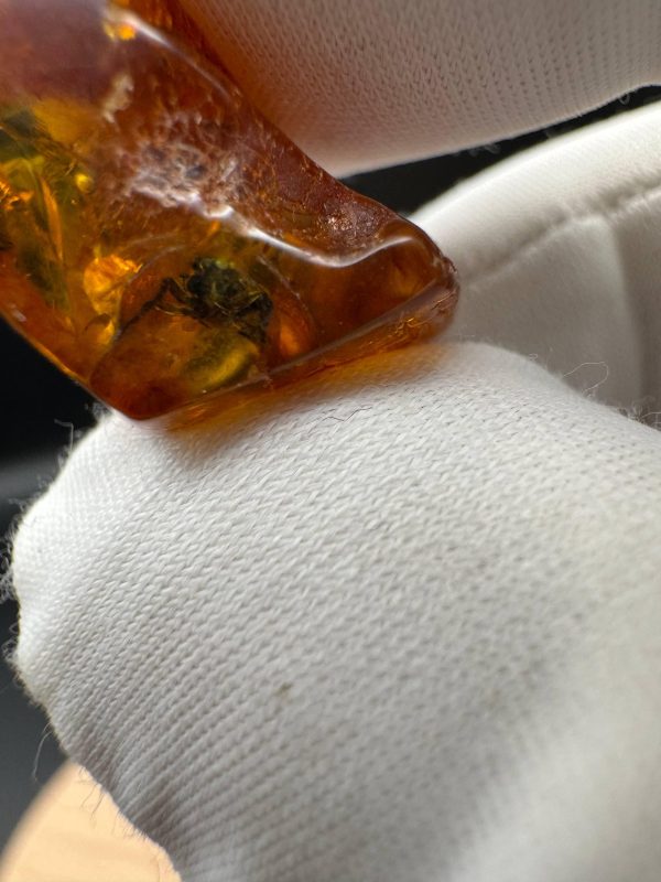 Natural Baltic Amber with Inclusions, Fossil Amber Stone