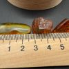 Natural Baltic Amber with Inclusions, Fossil Amber Stone