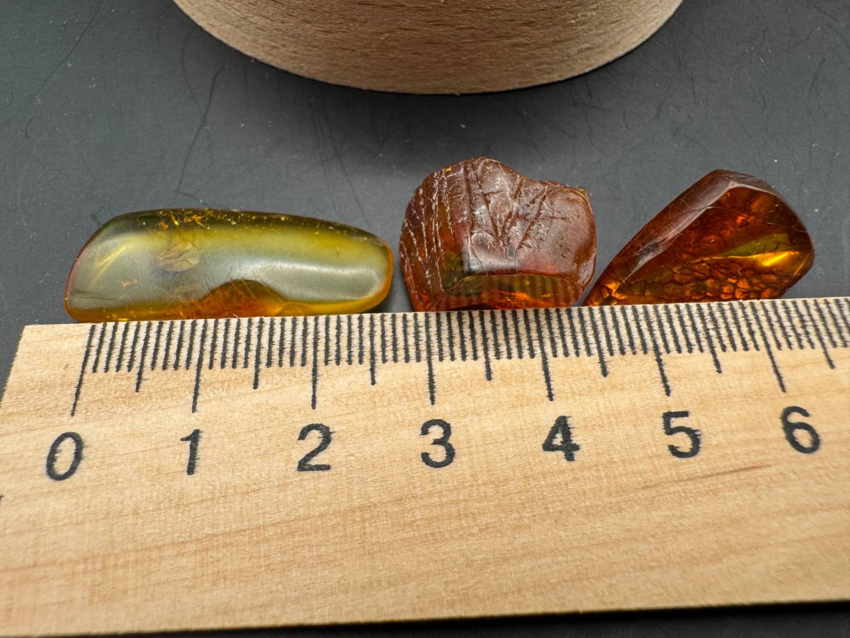 Baltic Amber Specimen with Multiple Insect Inclusions, 4g