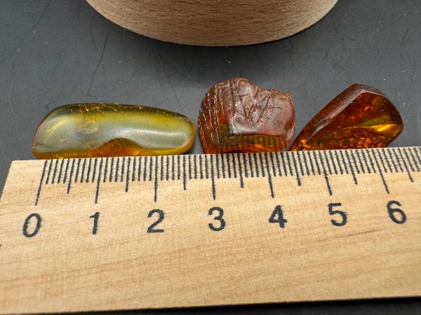 Natural Baltic Amber with Inclusions, Fossil Amber Stone