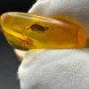 Baltic Amber Stones with Inclusions, Raw Fossil Amber Set of 3
