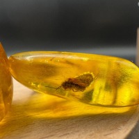 Baltic Amber Stones with Inclusions, Set of 3, 8g