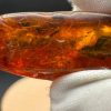 Baltic Amber Stones with Inclusions, Raw Fossil Amber Set of 3