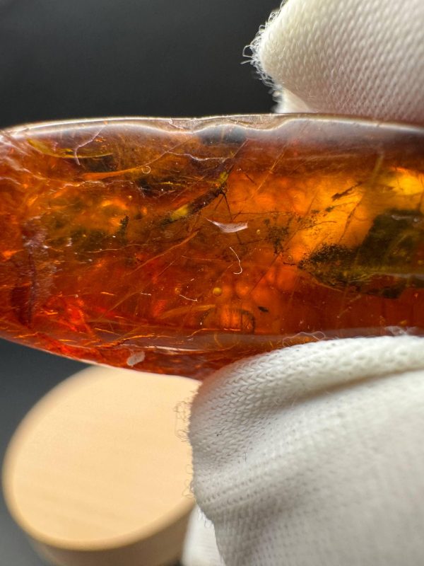 Baltic Amber Stones with Inclusions, Raw Fossil Amber Set of 3