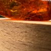 Baltic Amber Stones with Inclusions, Raw Fossil Amber Set of 3