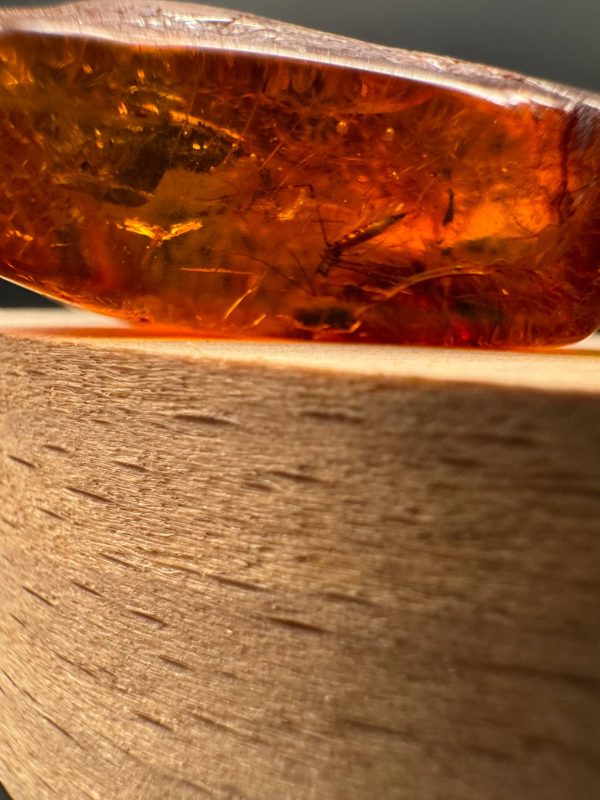 Baltic Amber Stones with Inclusions, Raw Fossil Amber Set of 3