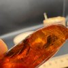 Baltic Amber Stones with Inclusions, Raw Fossil Amber Set of 3