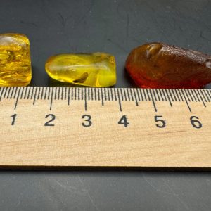 Baltic Amber Stones with Inclusions, Raw Fossil Amber Set of 3