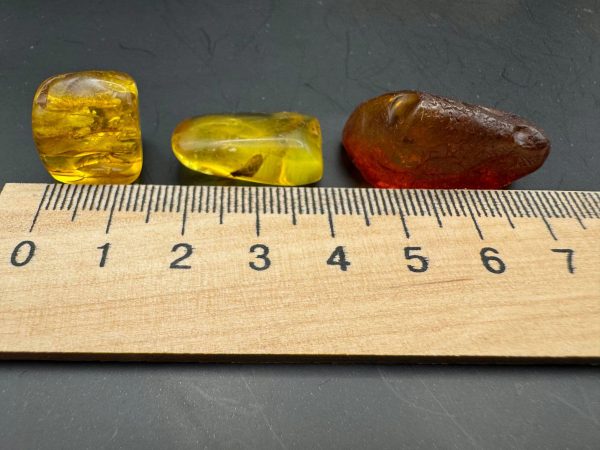 Baltic Amber Stones with Inclusions, Raw Fossil Amber Set of 3