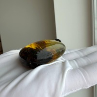 Large Cognac Honey Baltic Amber Pendant, Freeform, 32g