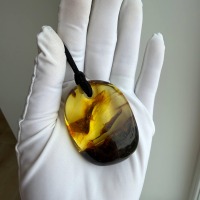 Large Cognac Honey Baltic Amber Pendant, Freeform, 32g