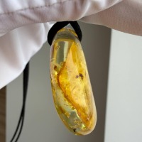 il_fullxfull.7739129842_o1wm.jpg Honey Cognac Baltic Amber Statement Pendant, 42mm, 15g