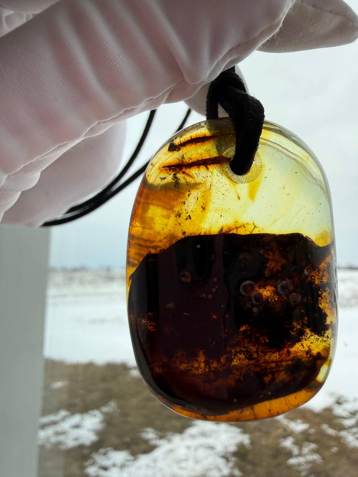 Large Baltic Amber Pendant with Insect Inclusion, 50mm
