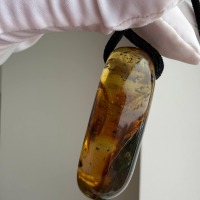 Large Baltic Amber Pendant with Insect Inclusion, 50mm