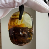 Large Baltic Amber Pendant with Insect Inclusion, 50mm