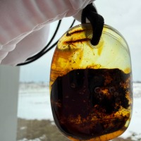 Large Baltic Amber Pendant with Insect Inclusion, 50mm