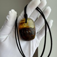 Large Baltic Amber Pendant with Insect Inclusion, 50mm