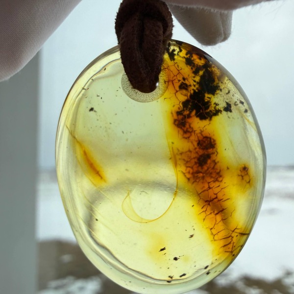 Golden Honey Landscape Baltic Amber Pendant, 9g