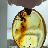 Golden Honey Landscape Baltic Amber Pendant, 9g