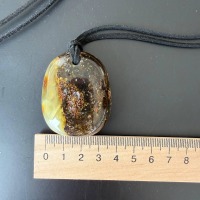 il_fullxfull.7785139449_bd6j.jpg Large Honey Cognac Baltic Amber Pendant, 46mm, 22g