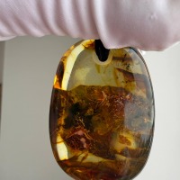 Large Baltic Amber Pendant with Insect Inclusion, 50mm