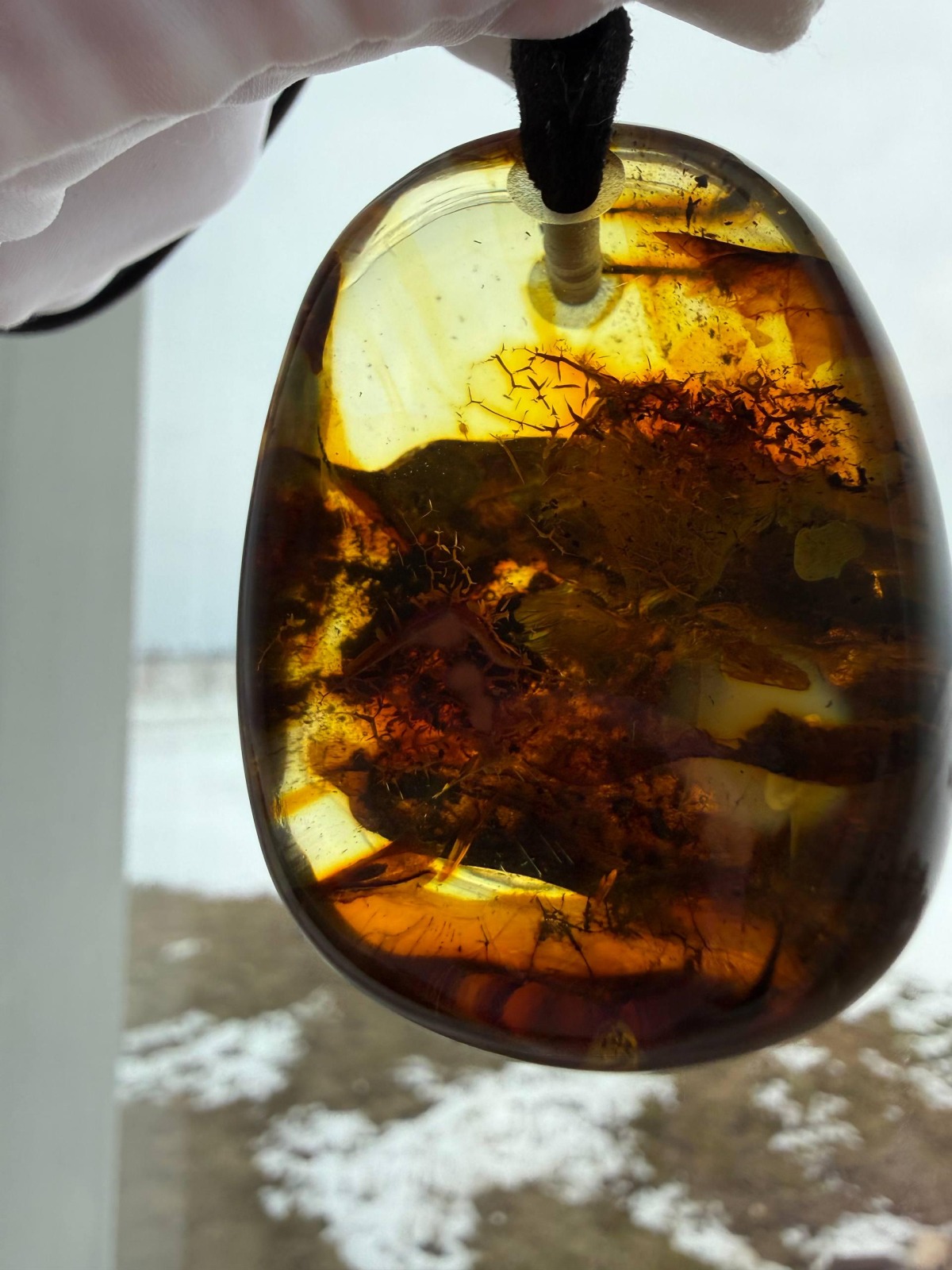 Large Baltic Amber Pendant with Insect Inclusion, 50mm