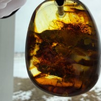 Large Baltic Amber Pendant with Insect Inclusion, 50mm