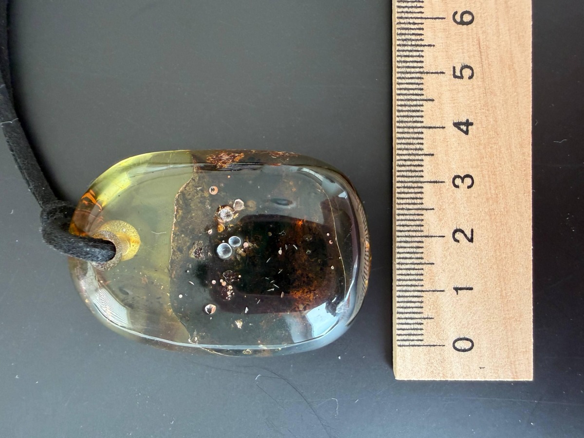 Large Baltic Amber Pendant with Insect Inclusion, 50mm