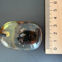 Large Baltic Amber Pendant with Insect Inclusion, 50mm