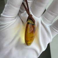 Golden Honey Landscape Baltic Amber Pendant, 9g