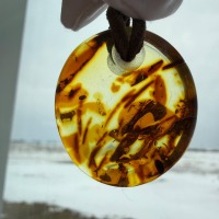 Round Disc Baltic Amber Pendant, Honey Cognac, 7g