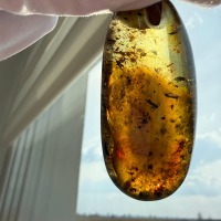 Large Honey Baltic Amber Pendant with Inclusions, 56mm, 20g